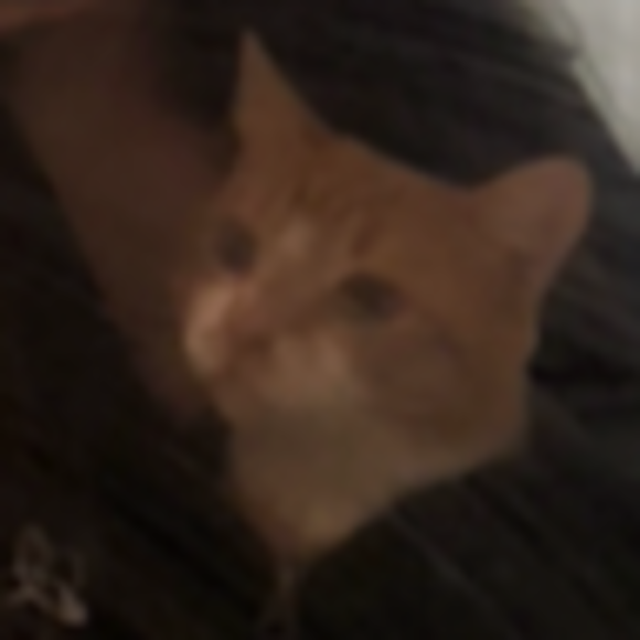 merpedymmmerp